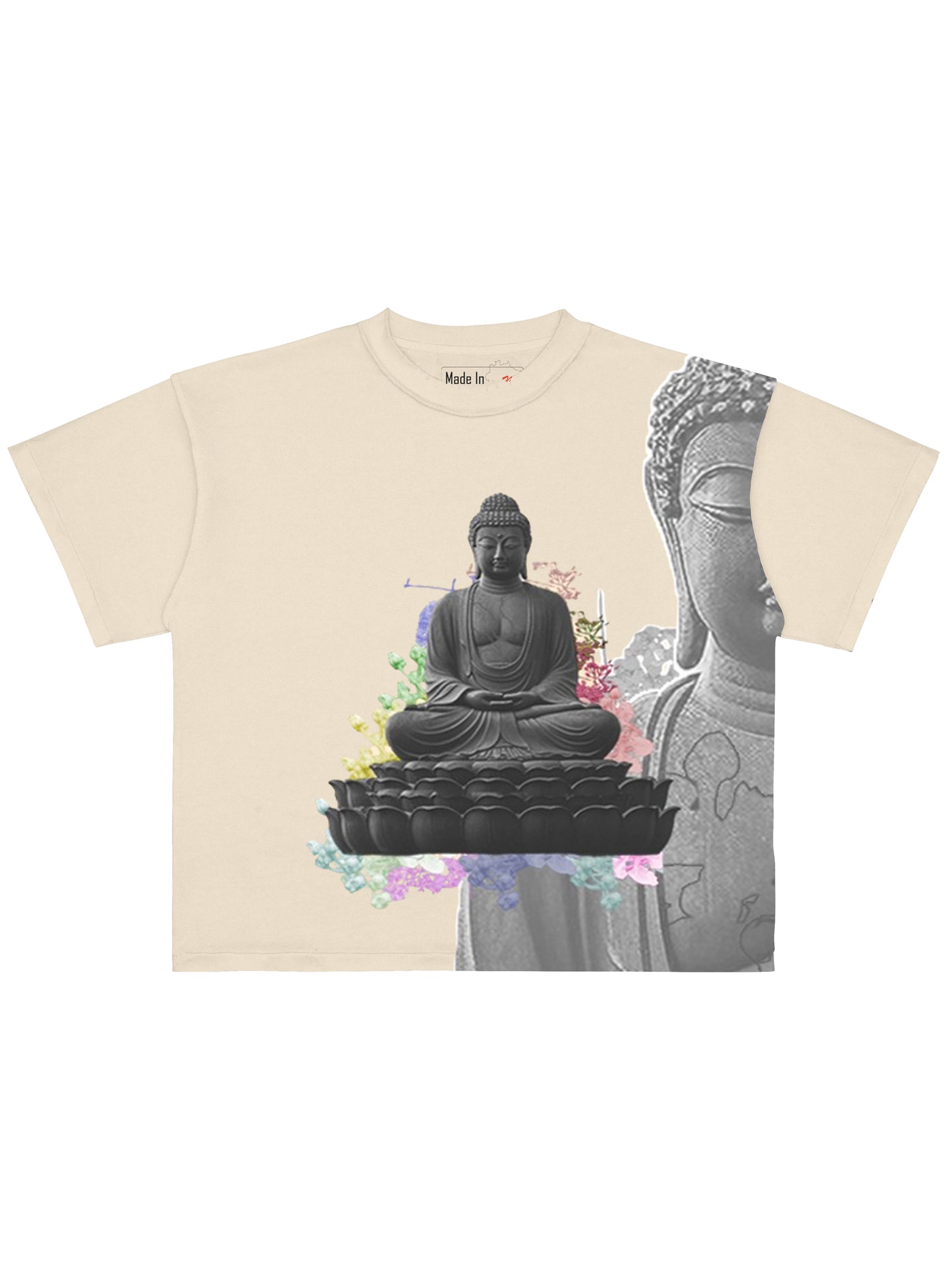 Chá de Ayahuasca